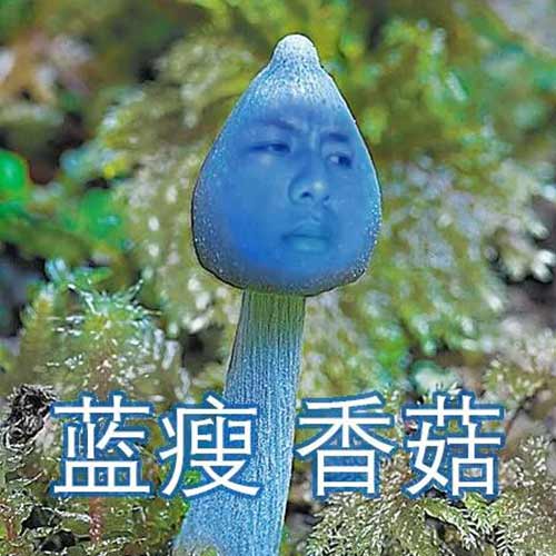 替代电镀环保工艺解决电镀老工艺污染问题