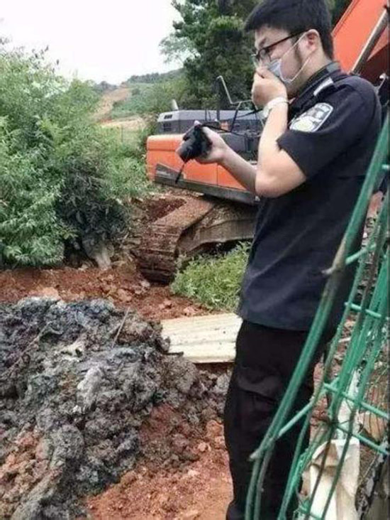 时隔4年再来处理“偷埋死猪”事件
