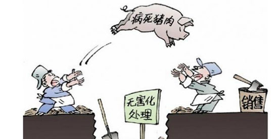 时隔4年再来处理“偷埋死猪”事件